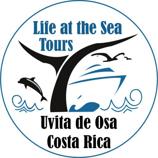 Life at the Sea Tours